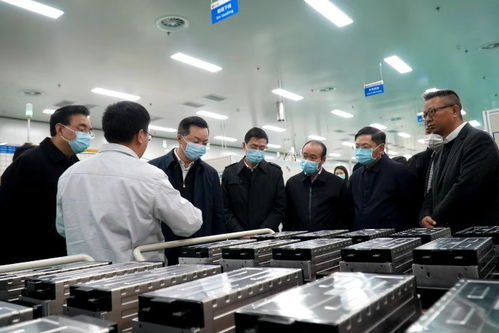 李剛副省長調研省能投集團 聚焦動力電池與分布式能源，擘畫新興能源技術研發新藍圖