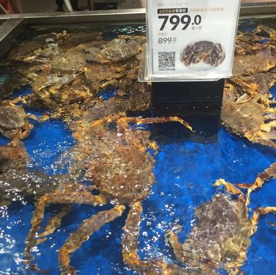 不用搶!北京的&ldquo;菜籃子&rdquo;穩著呢!